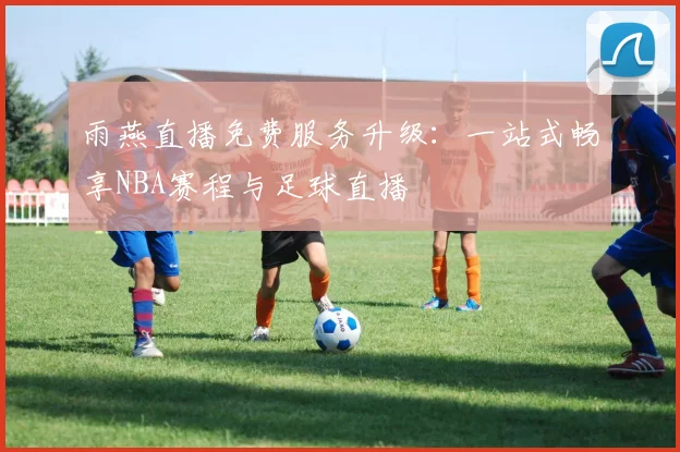 雨燕直播免费服务升级：一站式畅享NBA赛程与足球直播