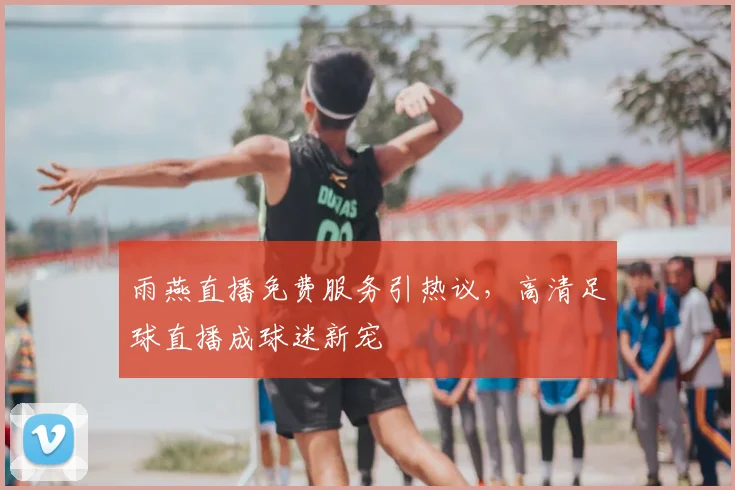 雨燕直播免费服务引热议，高清足球直播成球迷新宠