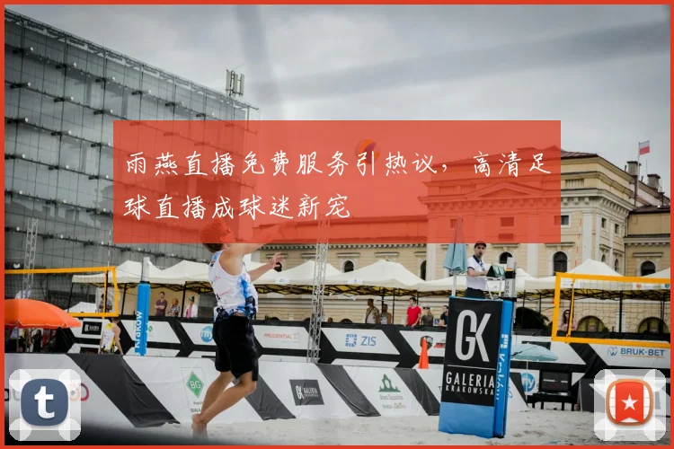雨燕直播免费服务引热议，高清足球直播成球迷新宠