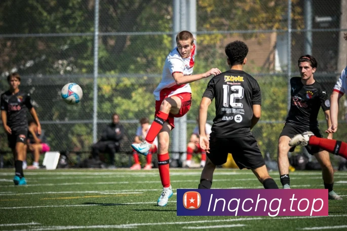 emc体育官网首页服务体系